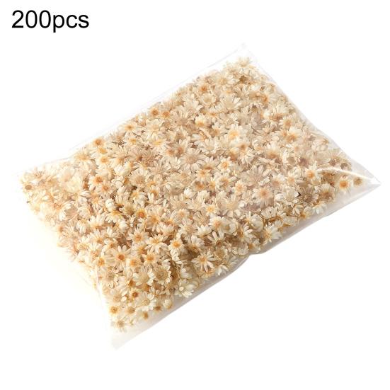 Привлекательный стабилизированный цветок, отличное качество изготовления, натуральный цветок ручной работы