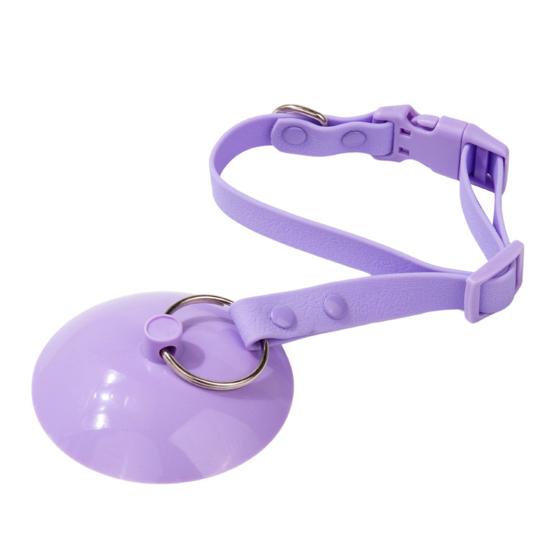 Pet Grooming Suction Cup Holder Adjustable Dog Bathing Restraint Loop Leash for Dogs And Cats Nail Trimming Shower Bathing