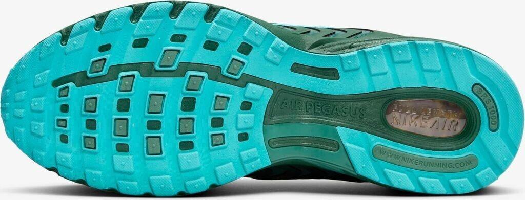 Кроссовки Nike Air Pegasus 2005 (FZ7354-300) ель/бикосталь/пыльный кактус/пихта