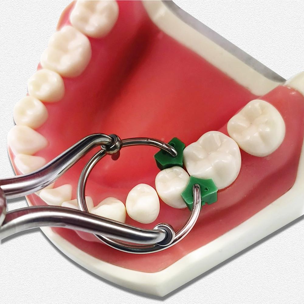1 Pc Dental Orthodontic Clamps Rubber Ring Rubber Dam Clamps Lab Instrument Matrix Band Forming Plier Stainless Steel