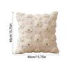 Embroidery PillowcaseEmbroidered Eggs Pom-pom Lace for Sofa Throw Pillow Cover Cushion Cover Home Decor No Insert