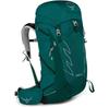 Backpack Tempest 30 Jasper Green (Women's)