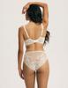 Gloria Esotiq Soft Bra