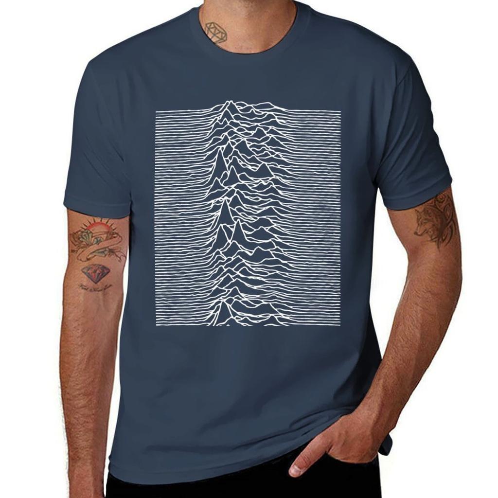Unknown Pleasures Classic TShirt Unisex Graphic T Shirt TShirt