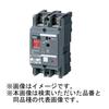 Panasonic Breaker with Earth Leakage Display Type 2P2E 30A AC240V Only BBW23018SLK BBW-50SL