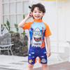 Kids Cartoon Swimsuit Boy One-Piece Quick-Drying Swimsuit