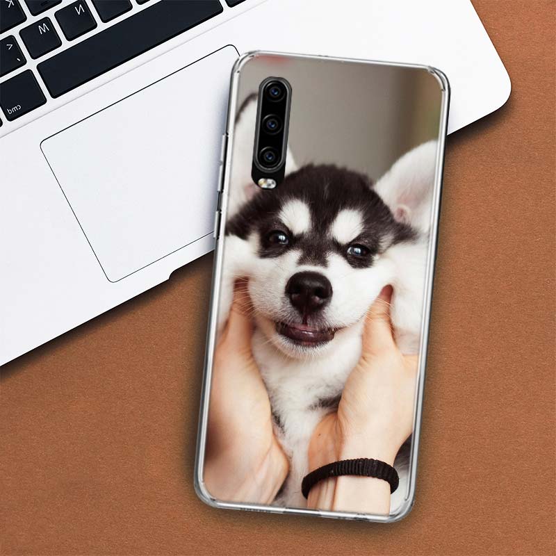 Чехол для телефона с изображением собаки сибирского хаски для Huawei P30 P20 P10 P40 P50 Pro Mate 20 40 30 10 Lite, популярный чехол Fundas Art Gift Coque