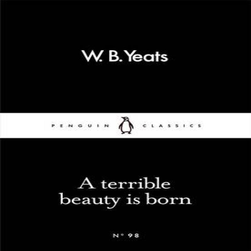 A Terrible Beauty Is Born by W B Yeats Paperback Book 9780241251515