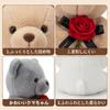 Brown Rose Teddy Bear Stuffed Animal 25cm Small Hugging Pillow