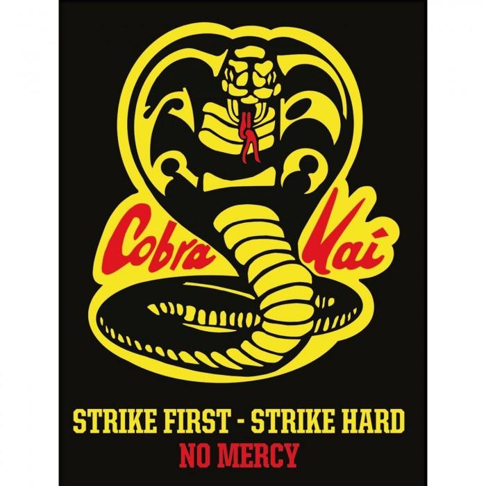 Cobra Kai Никакой пощады Печать