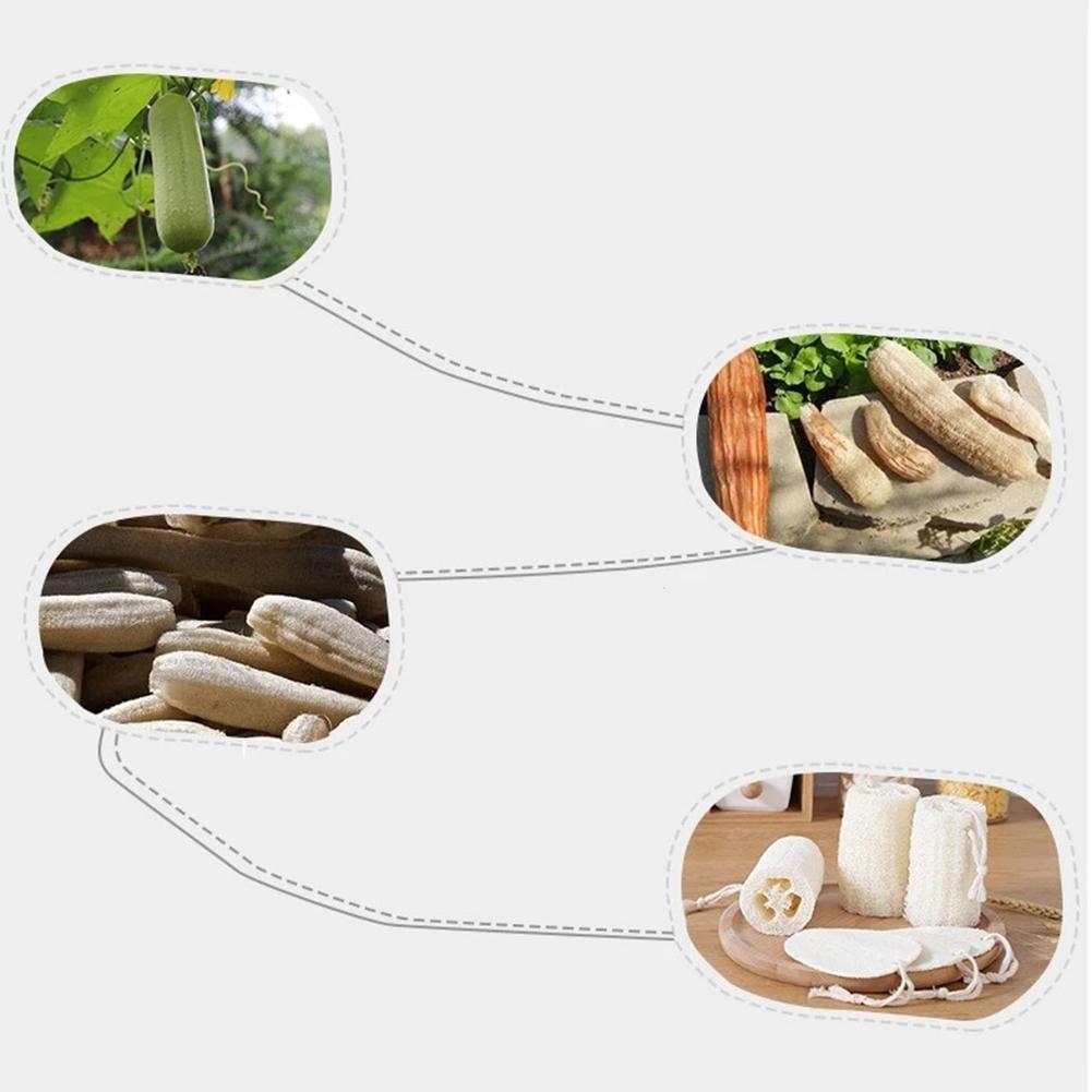 Natural Loofah Body Scrub Sponge Bath Rub Dishes Cleaning Exfoliating Scrubber Tool