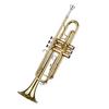 Summina Trumpet Bb Flat Brass Trompetus Instrument with Mouthpiece Glove for Standard Students, Beginners, and Teachers