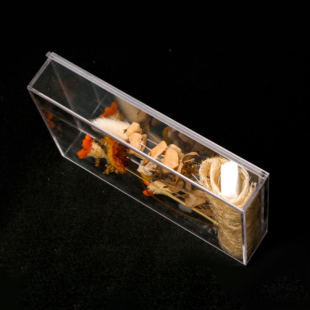 Acrylic Flower Storage Container Elegant Flower Box for Preserved and Arranged Blooms Storage Case