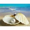 Diamond Painting Shell Diy Diamond Painting 5d Diamond Painting Arrivals