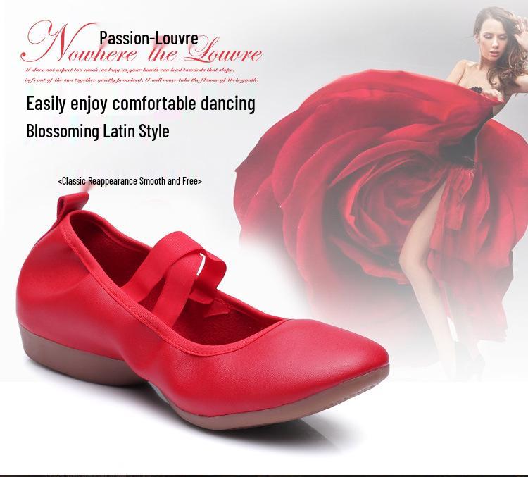 2023 Межграничные туфли для практики балета и танцев на площади с мягкой подошвой, плоский каблук, взрослые