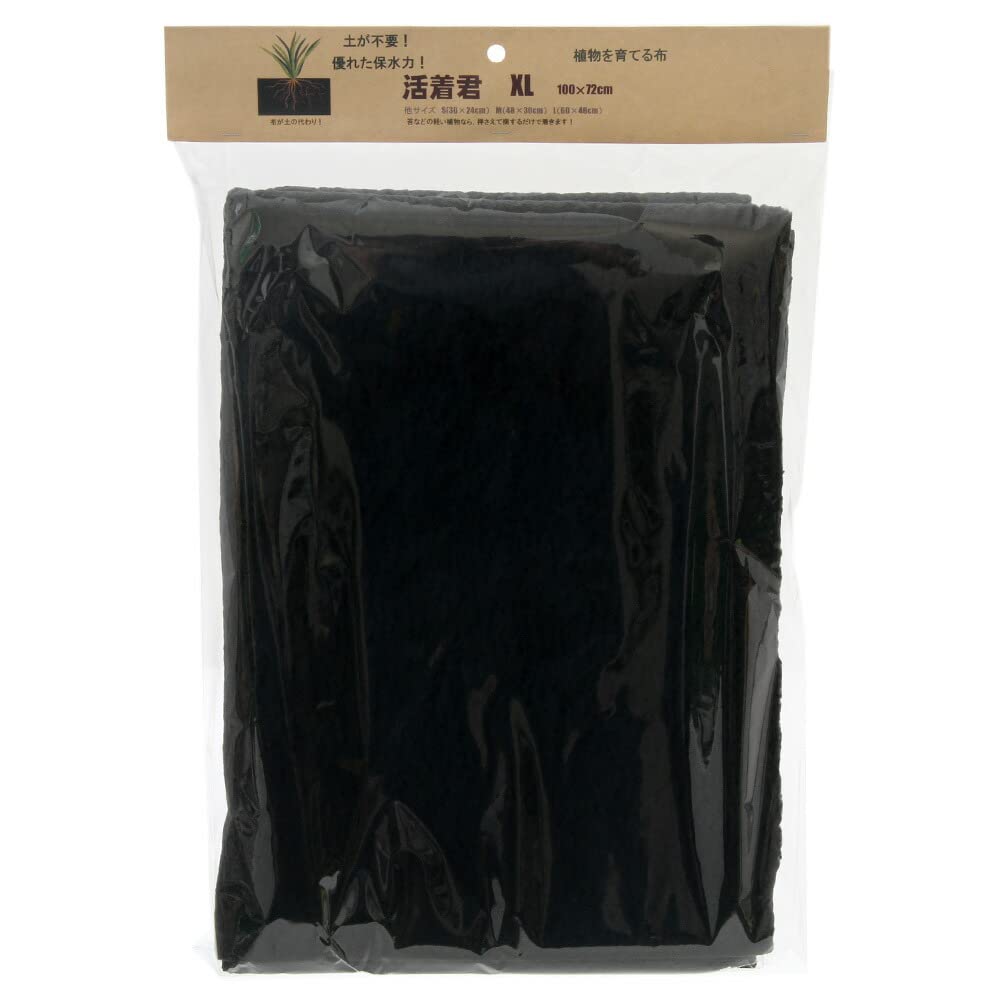 Picta Katsutsukikun Growing XL x 70 (Растение Ткань) (100 см)