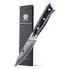 WILDMOK Damascus Paring Knife, 3.5 Inch Japanese 67 Layers Damascus Steel Fruit Knife, Ultra Sharp Resin Handle