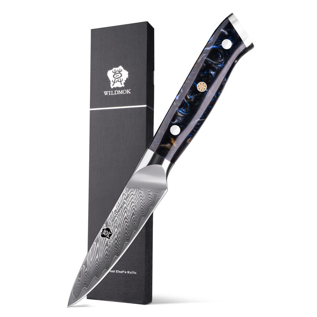 WILDMOK Damascus Paring Knife, 3.5 Inch Japanese 67 Layers Damascus Steel Fruit Knife, Ultra Sharp Resin Handle