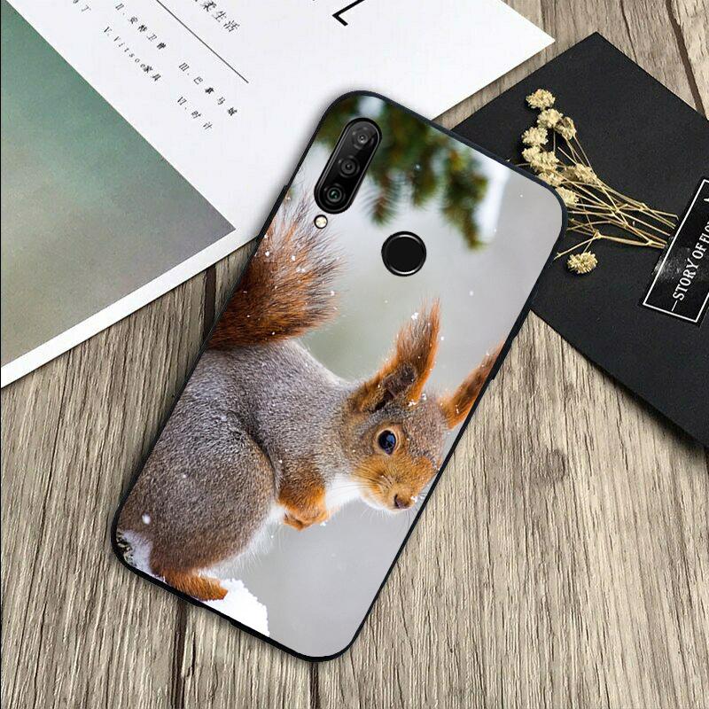 Squirrel Cute Animals For Huawei Nova 5T 9 10 SE 7i 8i 11i 12i Y73 Y90 Y70 Y72 Y61 Y91 P60 Pro P40 P30 Lite Case