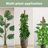 Moss Pole Kit Vertical Monstera Plant Support Coconut Fiber Support Pole Bendable Plant Stakes for Indoor Climbing Plants Home Gardening