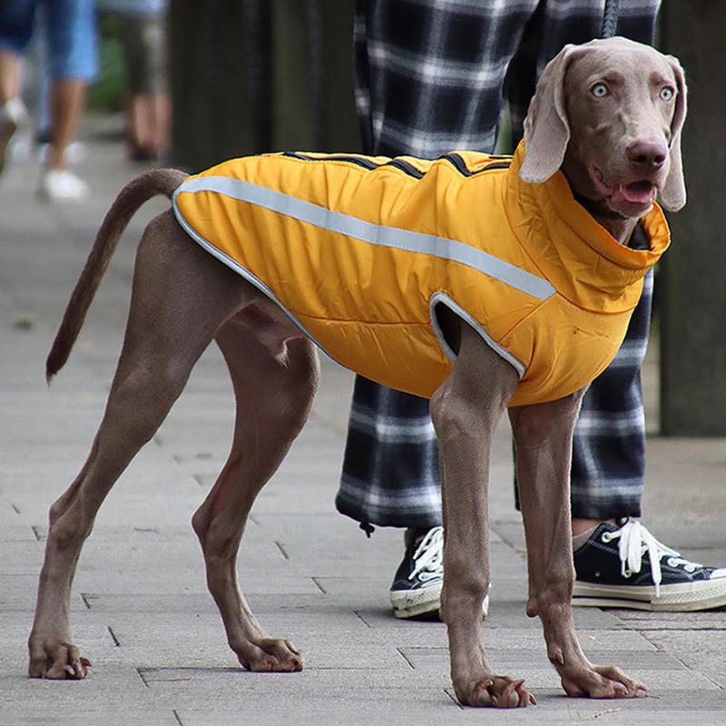 Водонепроницаемая теплая одежда для собак Жилет с мягкой подкладкой Куртка для домашних животных Средняя / большая Зима