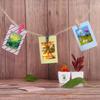 Handmade Scrapbook Albums Decoration Paper Corner Stickers Photos Frame Stickers Self-Adhesive
