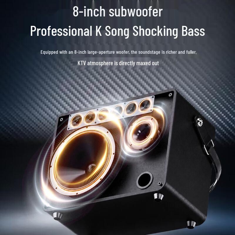 SAST SW92 Portable Outdoor Karaoke Speaker System (CN version)