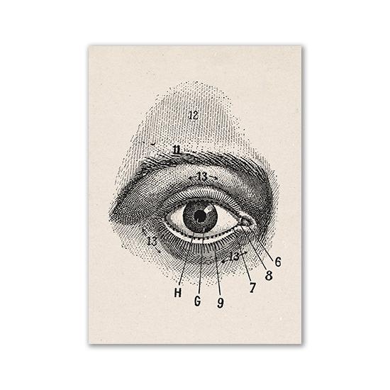 Vintage Human Anatomy Artwork Medical Wall Picture Muscle Skeleton Poster Canvas Art Print Education Hospital Pharmacy Paintings