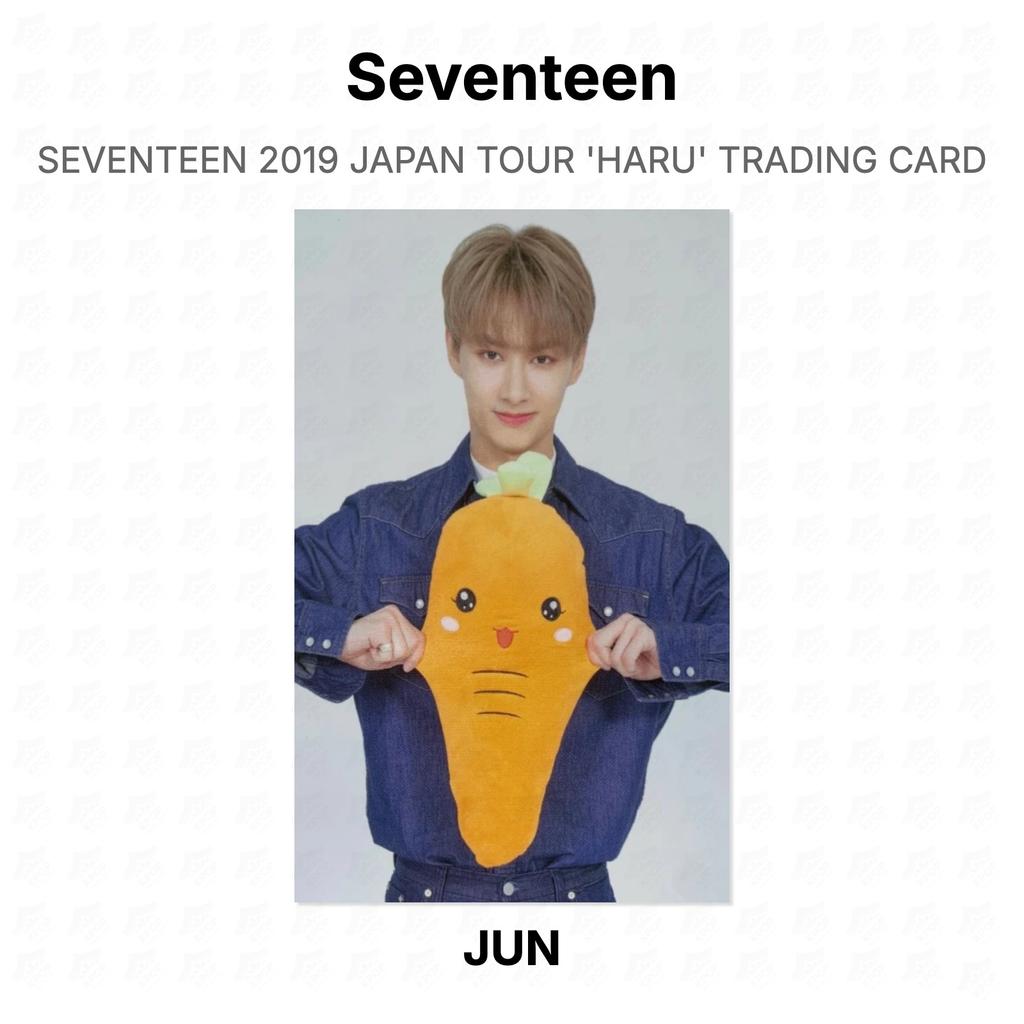 Seventeen 2019 ЯПОНСКИЙ ТУР 'HARU' ТОРГОВАЯ КАРТОЧКА Официальная фотокарточка