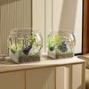 Fish Bowl Tank Accessories Decorative Portable Tabletop Ornament Turtle Viewing