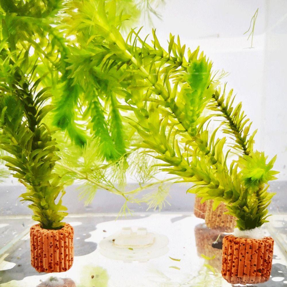 10pcs/set Decorative Aquatic Planting Ring Pottery Pottery Gravity Ring Aquarium