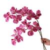 Moisturizing Latex Artificial Orchid Flowers 80 CM Length Real Touch Orchids  Wedding Decoration