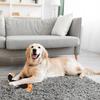 Interactive Plush Dog Toy with Sound Durable Gentle Reduce Biting Barking Fun