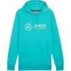 Puma Mercedes-AMG Petronas F1 ESS Pullover Hoodie With Brand Logo Unisex Hoodies 623757-05