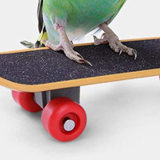 Parrot Stacking Toys Set Eco-friendly No Odor Colorful Basketball Toy Mini Shopping