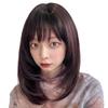 AQUADOLL Wig, Medium/Semi-Long, Layered, Inner Mesh, Full Wig, One Size Fits All, E3-Z. Chocolate Lavender Pudding (wg352E3-Z)