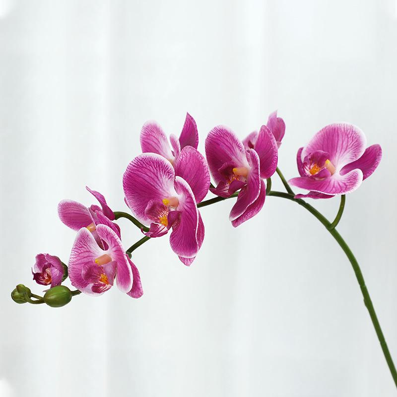 Simulation flower feel Phalaenopsis, living room bedroom home decoration ornament, fake flower bonsai
