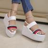 Platform Women's Sandals Summer High-heeled Buckle Strap Ladies Sandals Peep Toe Shoes for Women  Large Size Ladies Shoes