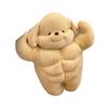 Photo Hoop Cute Fitness Muscle Puppy Plush Toy Doll Eight Pack Abs Doll Bed Birthday Gift