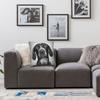 English Pointer Dog Vintage D50 Square Pillowcase Polyester Linen Velvet Pattern Decorative Pillow Case Bed Cushion Cover 18"