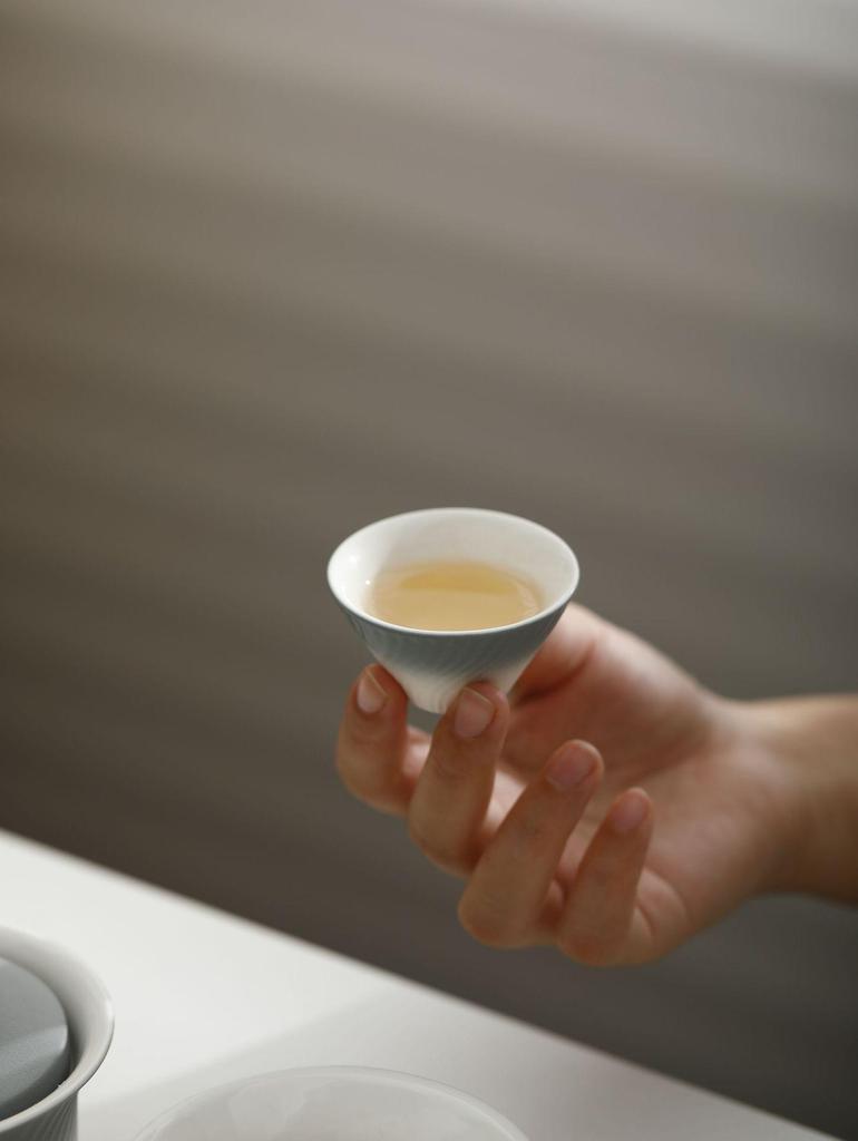 Outdoor Portable Ceramic Tea Set: One Pot, Three Cups, Gradient Grey Glaze for Travel and Business Trips