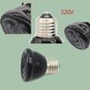 Светильник для обогрева черепах E27 EU Plug 220V Mini Pet Reptile Heat Lamp Kit Пристегивающийся керамический держатель для ламп, нагревательный набор