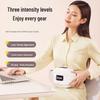 CHIGO Heated Kneading Waist Massager CN plug (adapter included)