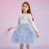 Disney Elsa Princess Mesh Dress for Girls