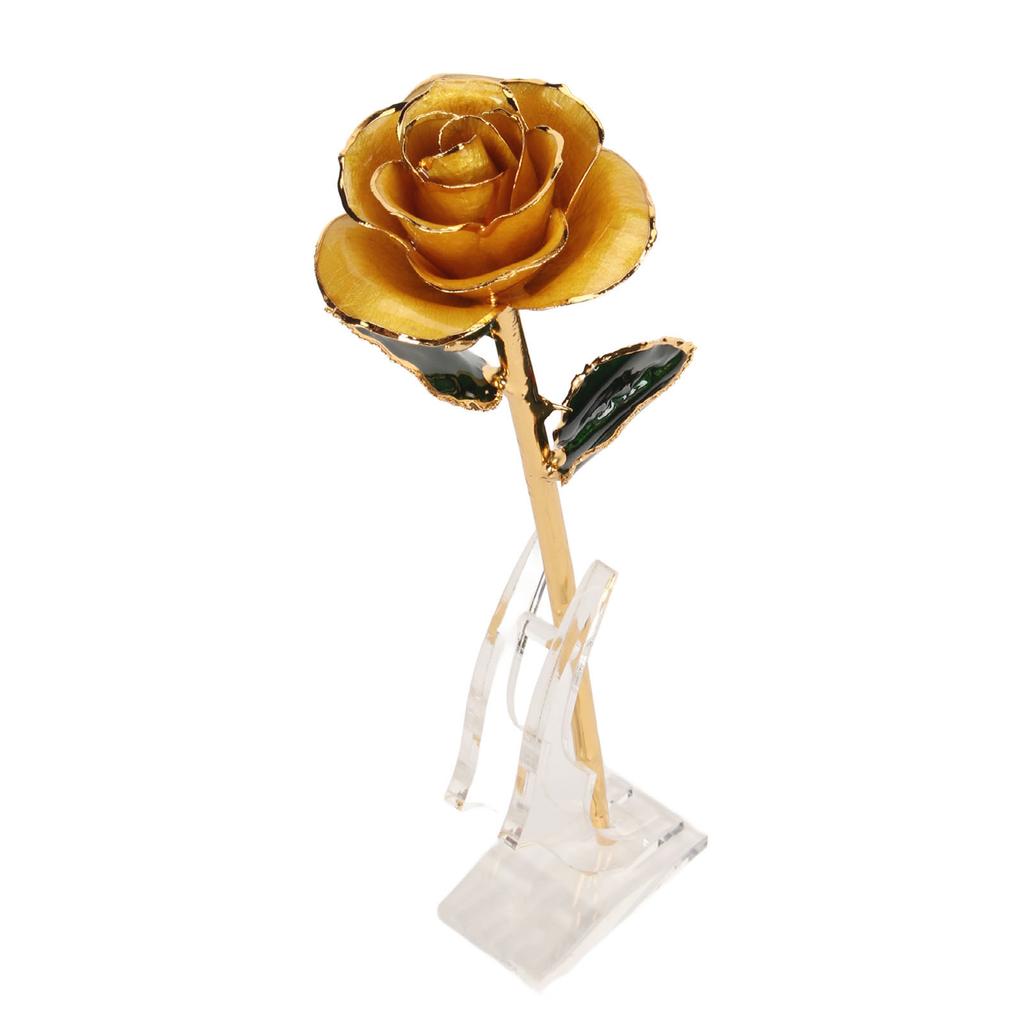 Preserved Rose 24K Gold Plated Bright Luster Rich Details Naturally Gold Dipped Rose with Holder