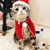 Comfortable Christmas Pet Cloak Adjustable Pet Xmas Hat Pet Christmas Cloak Dress Up for New Year