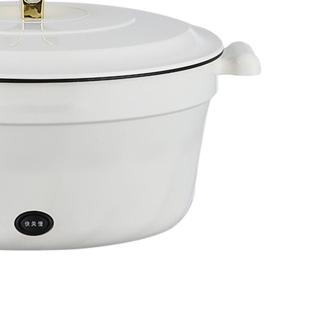 Electric Pot Multifunctional Dormitory Student Cooking Pot Electric Cooker Standard