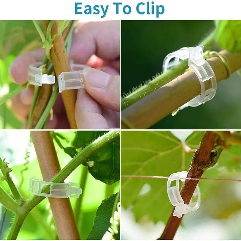 Garden Flower Plant Vine Seedlings Grafted Branches Clip Connector Fasteners Plastic Clips Garden Migration Tool
