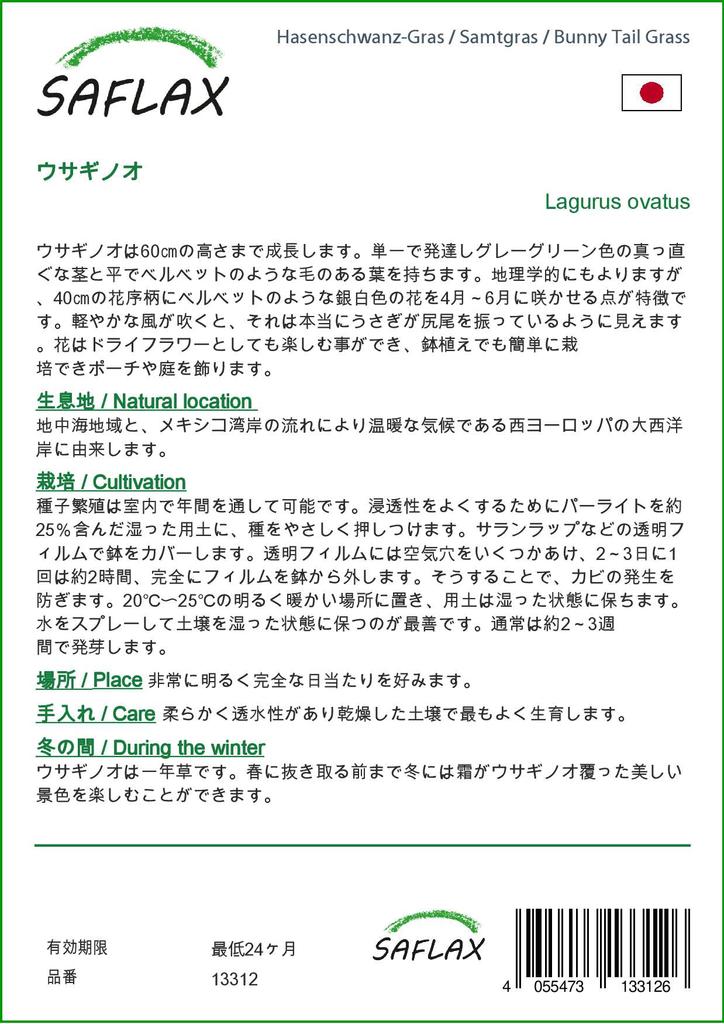 SAFLAX Garden in the Bag - Трава Банни Хвост - 100 семян - С субстратом в подходящем мешке - Lagurus ovatus