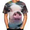 Cute Men and Women Guitar and Pork 3D Printed T-shirt, Imitating Animal Fun Summer Clothing, Round Neck, Short Sleeves, Casual
